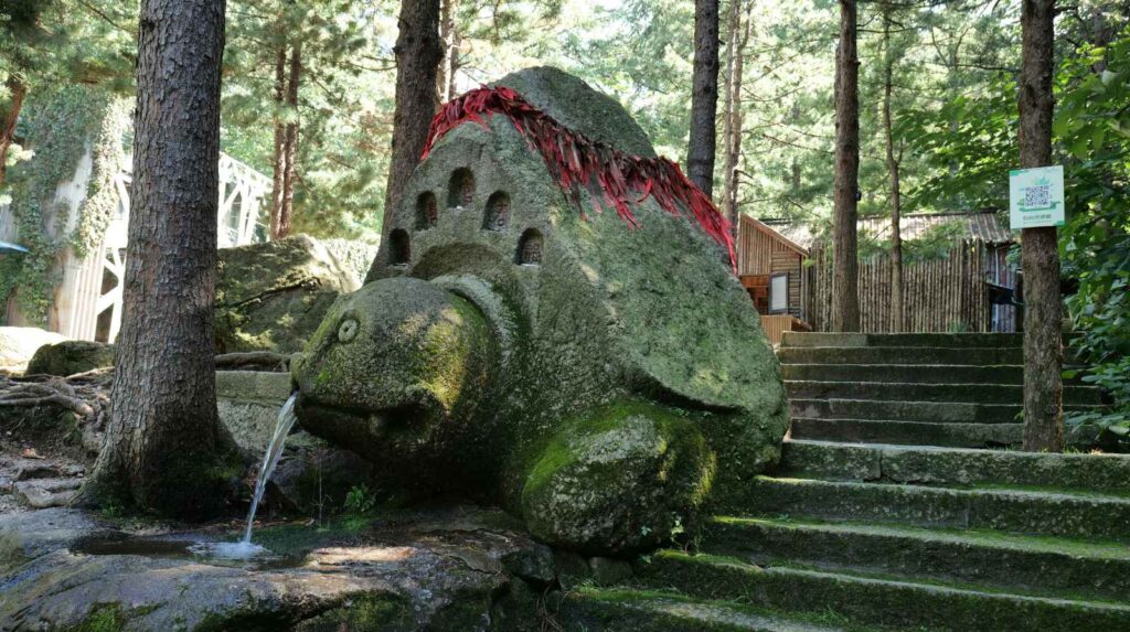 הקמת מזרקות נוי