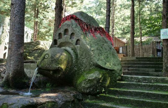 הקמת מזרקות נוי2